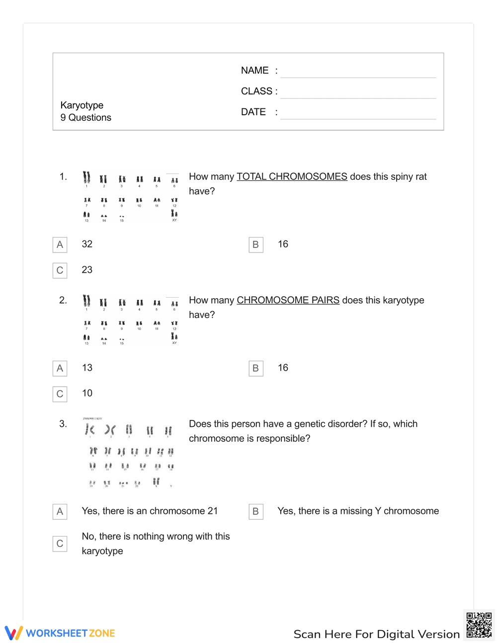 Karyotype Worksheet with Answers - Page 1
