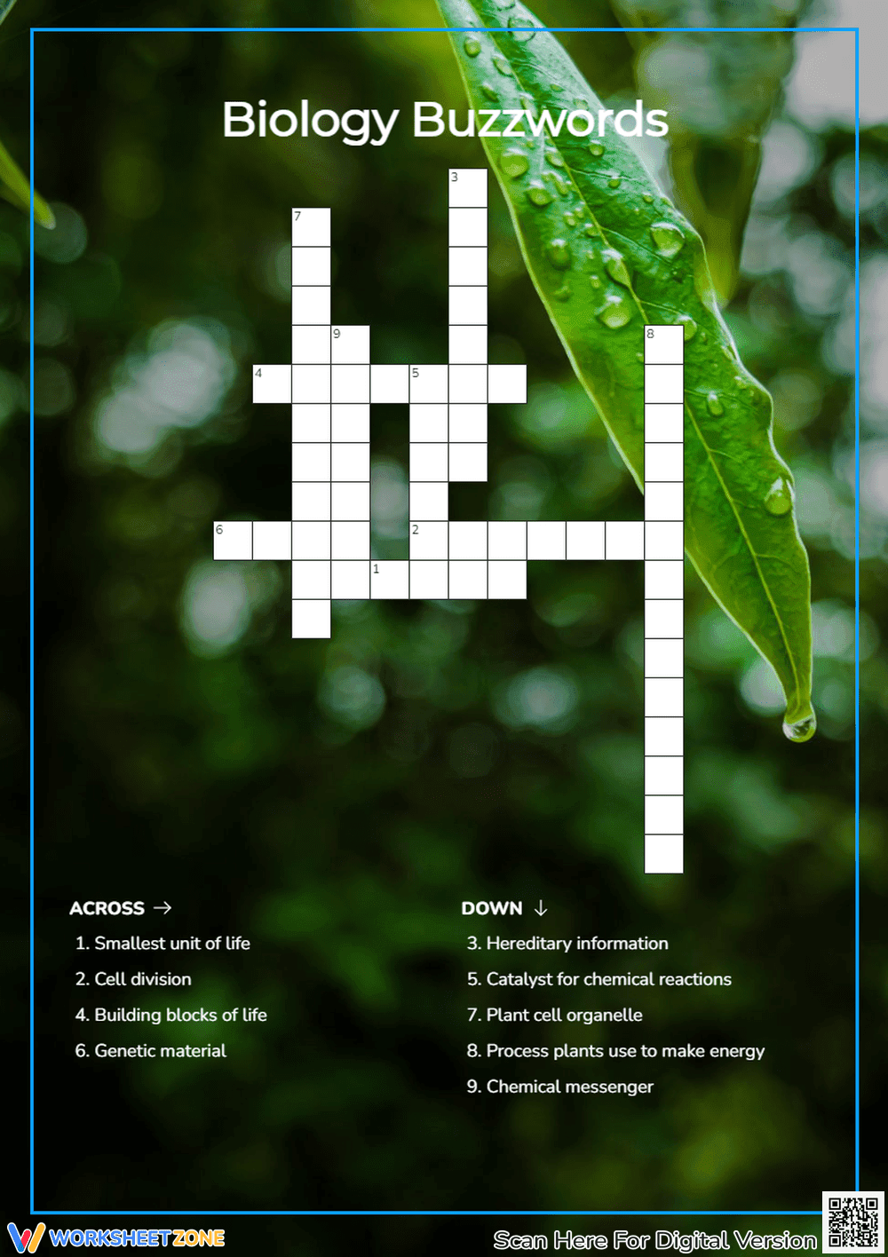 Biology Buzzwords Worksheet | Grade 4 Science Ready - Page 1