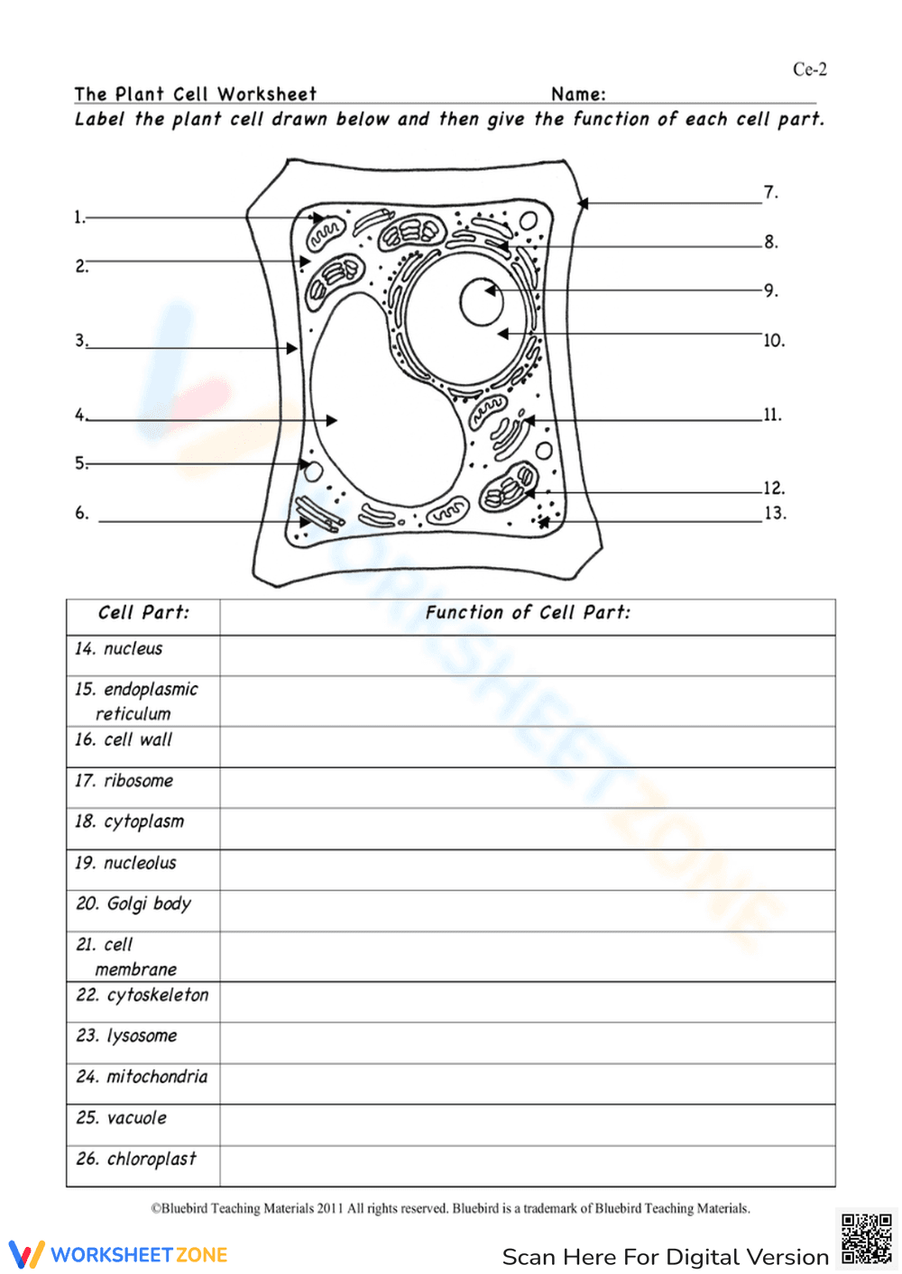 The Plant Cell Worksheet: Anatomy and Functions - Page 1