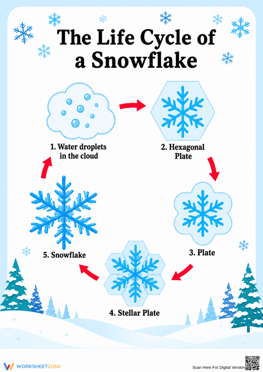Snowflake Life Cycle Diagram | Essential Grade 2 Science - Page 1