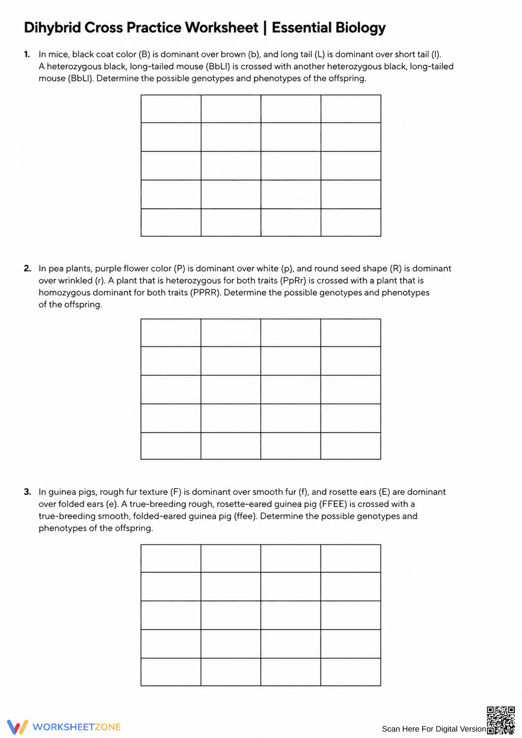 Dihybrid Cross Practice Worksheet | Essential Biology - Page 1