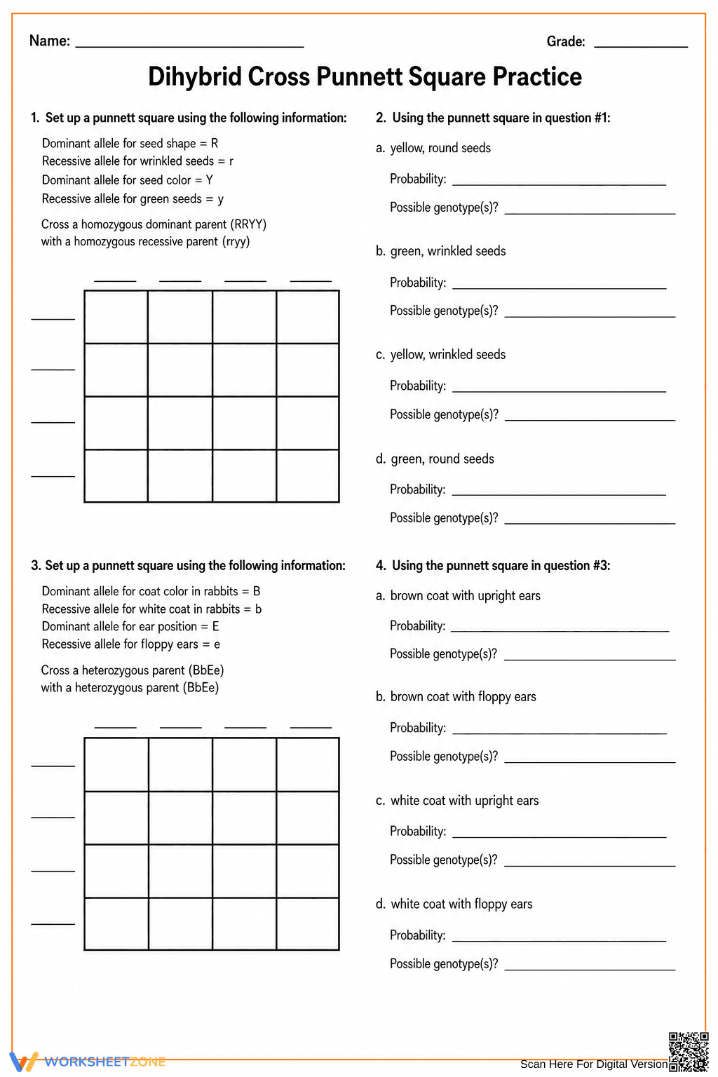 Printable Dihybrid Cross Worksheet | Grade 9-11 Biology - Page 1