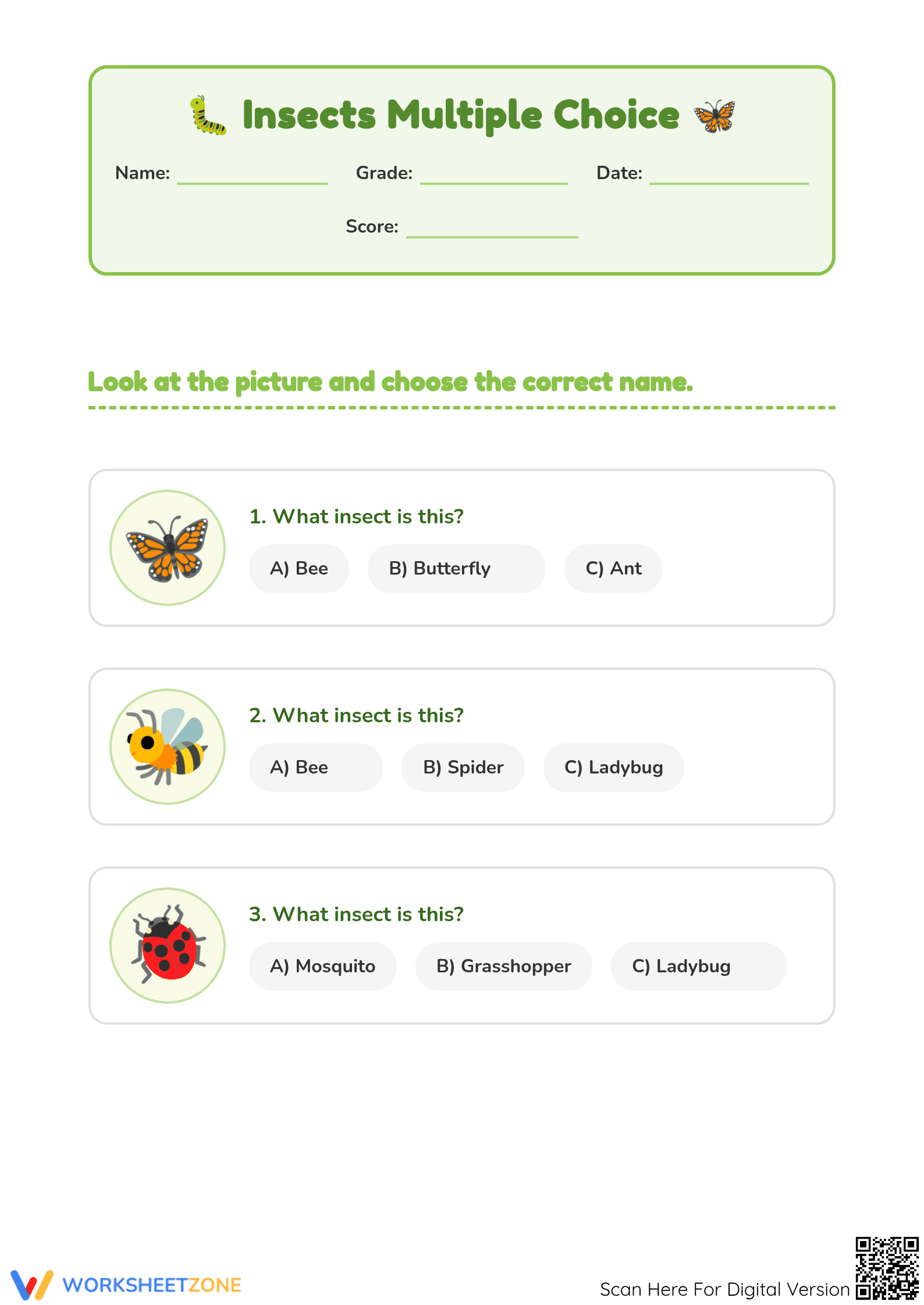 Insects Vocabulary Worksheet | Grade 1-3 Essential - Page 1