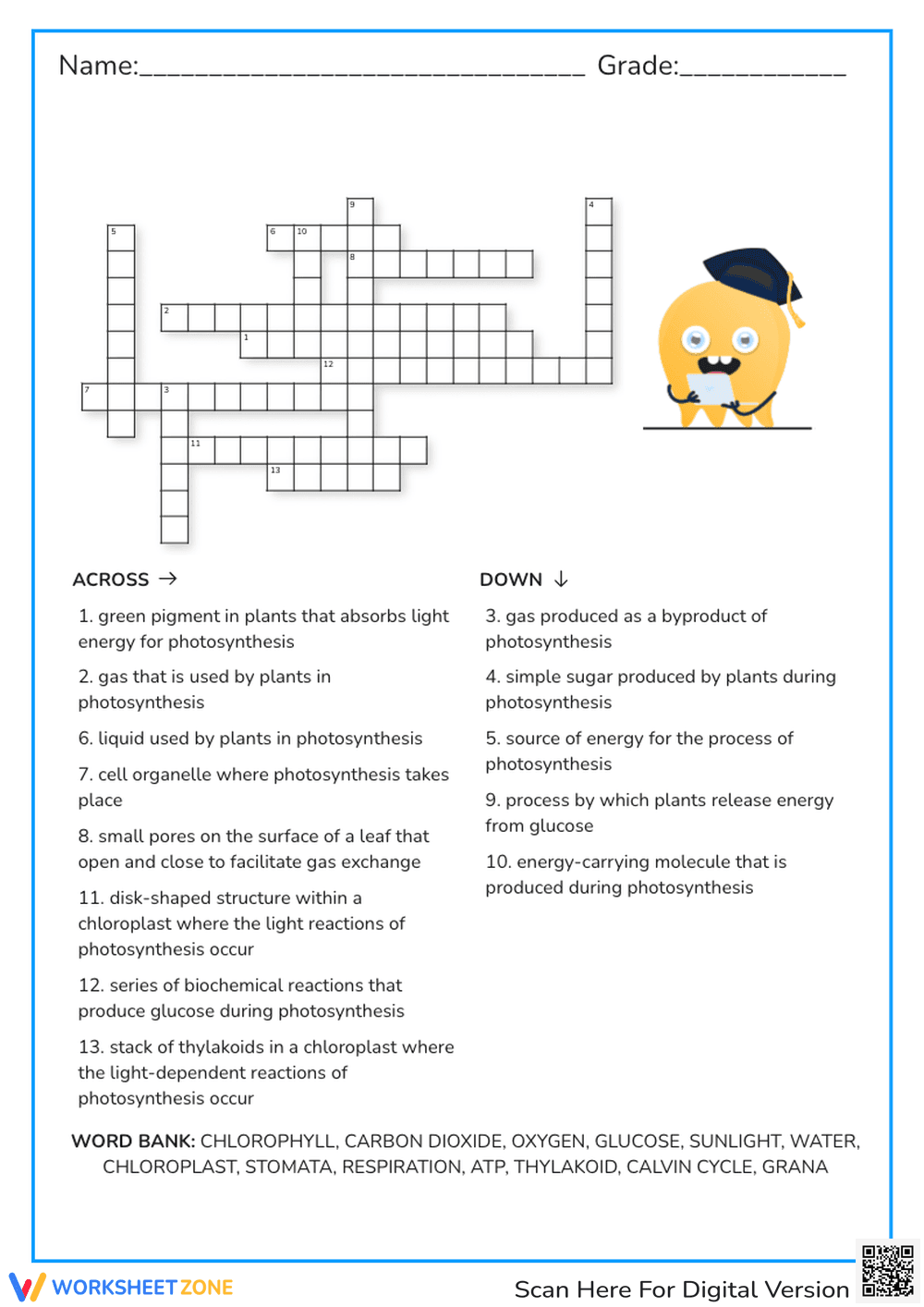 Photosynthesis Crossword - Page 1