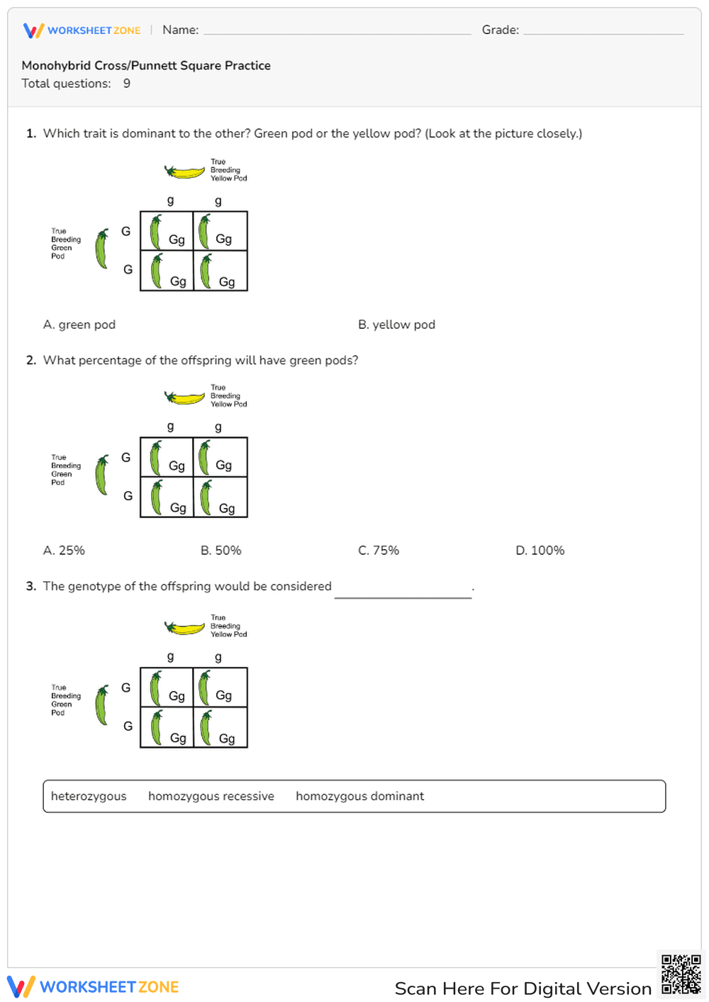 Practice with Monohybrid Crosses - Page 1
