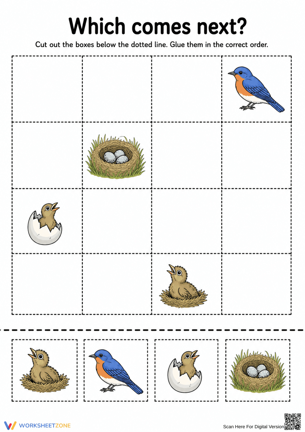 Printable Bird Life Cycle Worksheet | Grade 1 Science - Page 1