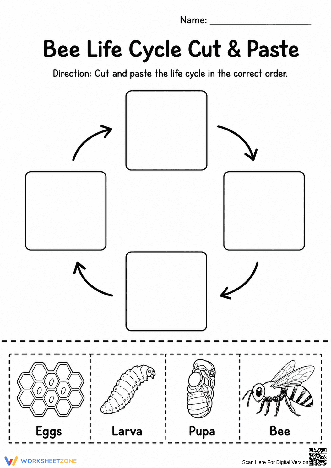 Grade 1 Bee Life Cycle — Printable No-Prep Worksheet - Page 1