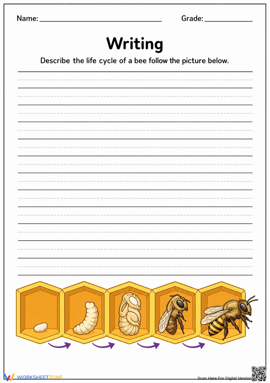 Bee Life Cycle Writing Worksheet | Printable Grade 4 - Page 1