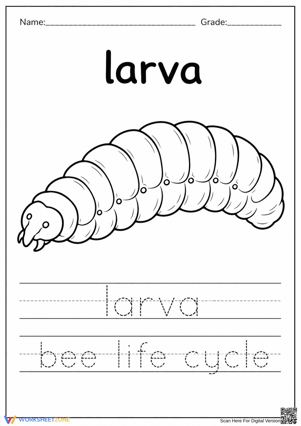Grade 1 Bee Larva Tracing — Printable No-Prep Worksheet - Page 1