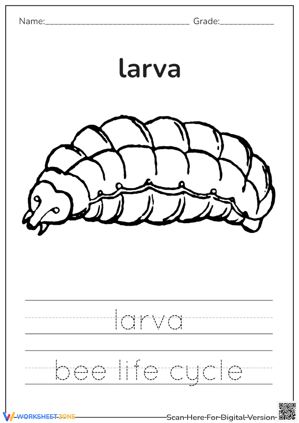 Bee Larva Tracing Worksheet - Page 1