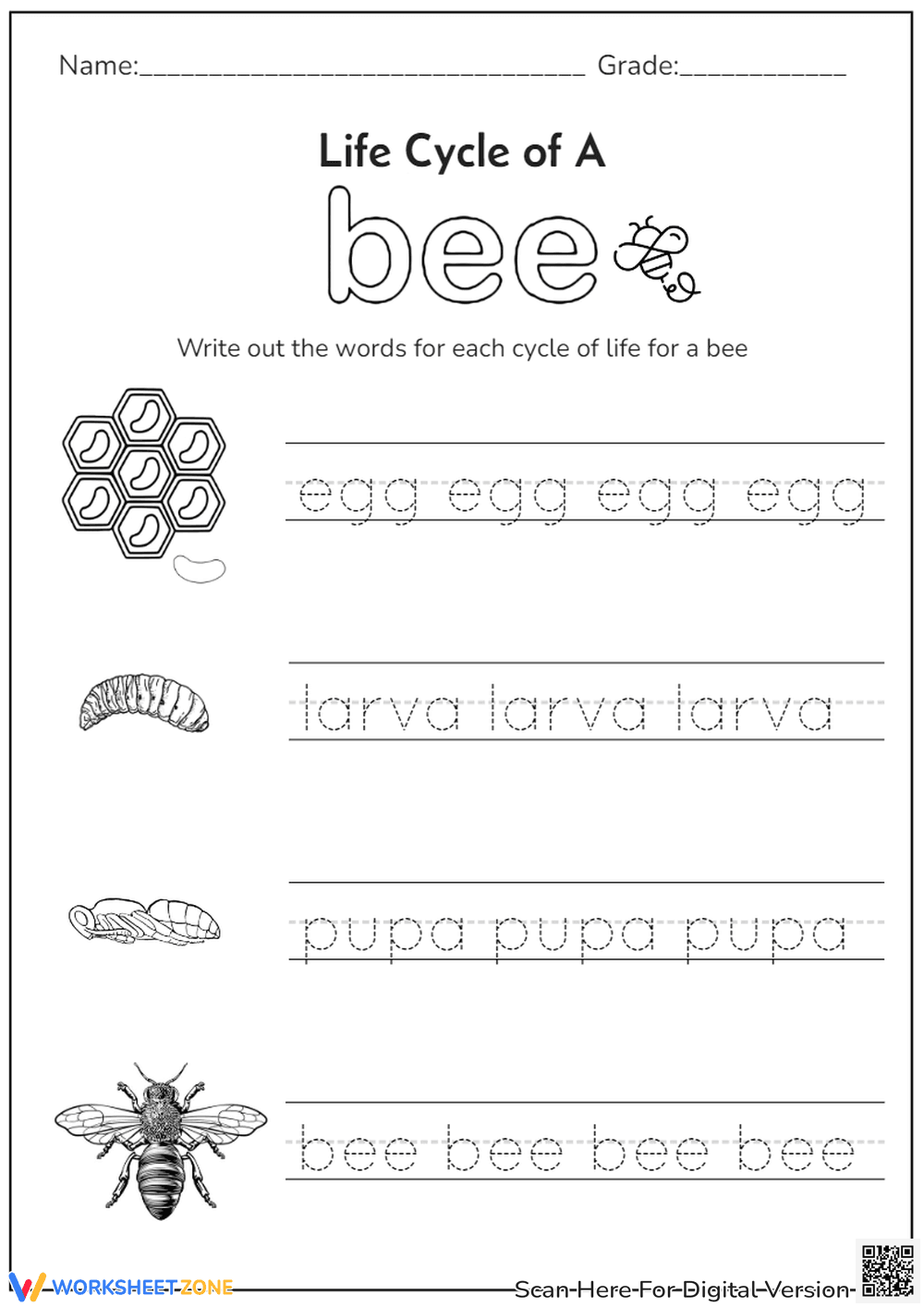 From Egg to Bee: Tracing Fun - Page 1