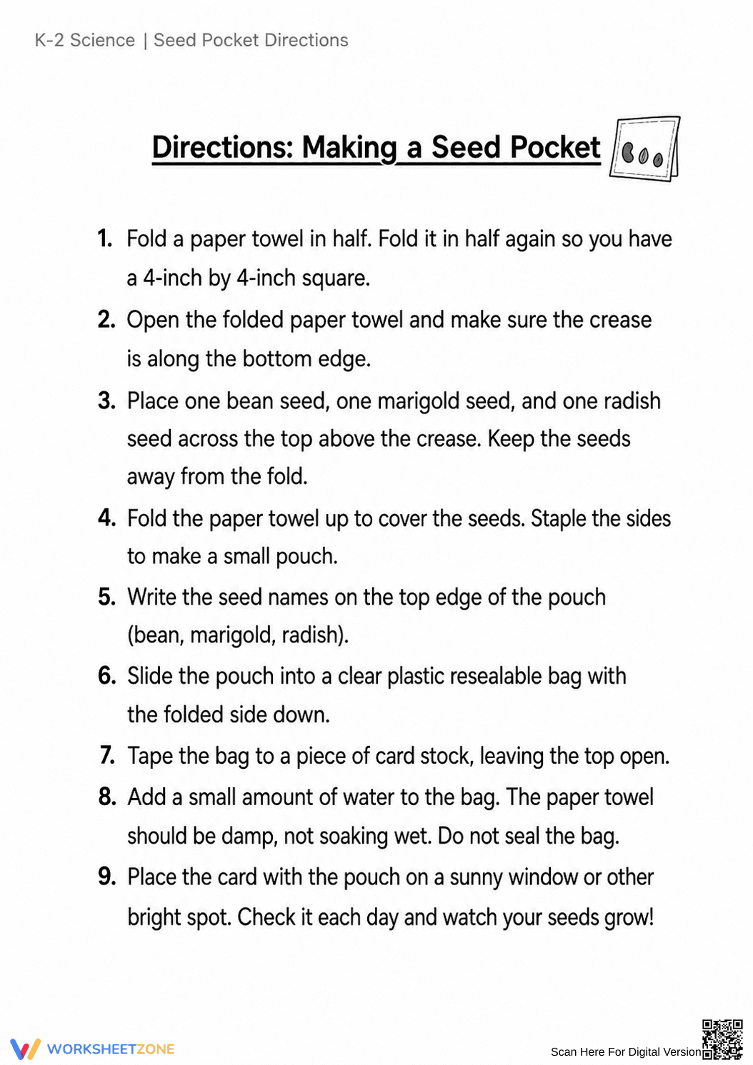 Essential Seed Pocket Activity | Kindergarten Science - Page 1