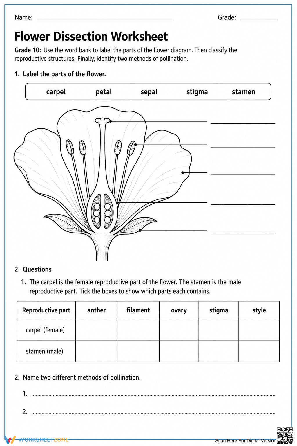 Flower Dissection Worksheet | Grade 10 Essential - Page 1
