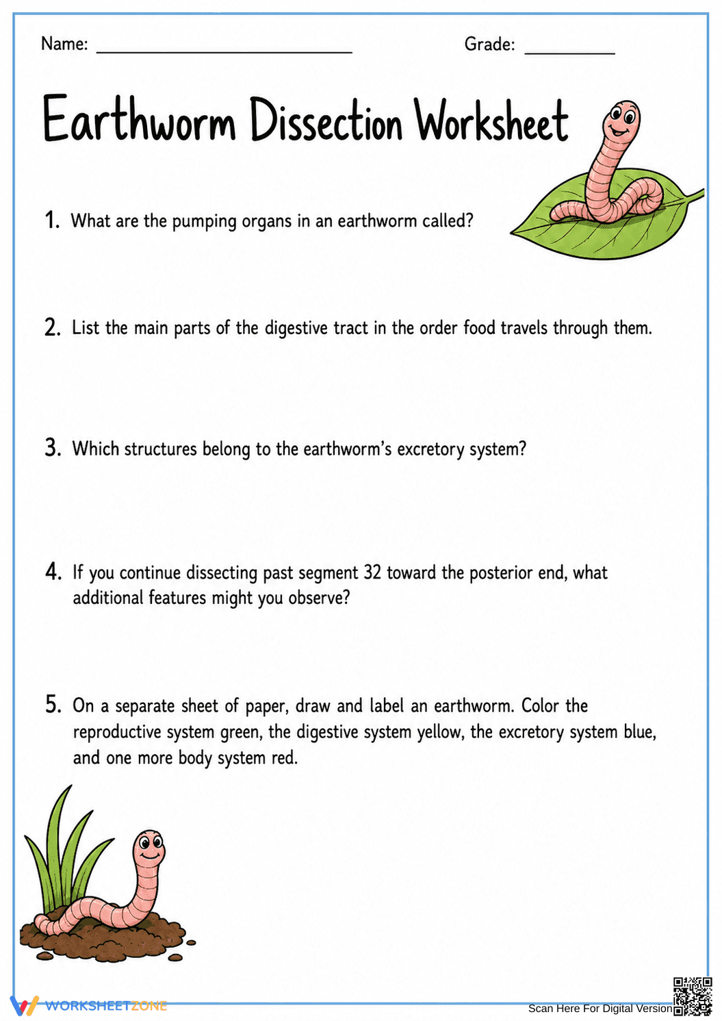 Grade 9 Earthworm Anatomy — Printable No-Prep Worksheet - Page 1