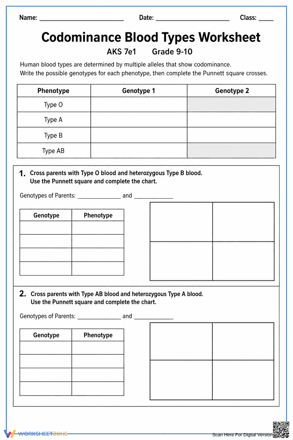 HS-LS3-3 Worksheet: Blood Types — Grade 9-10 Aligned - Page 1