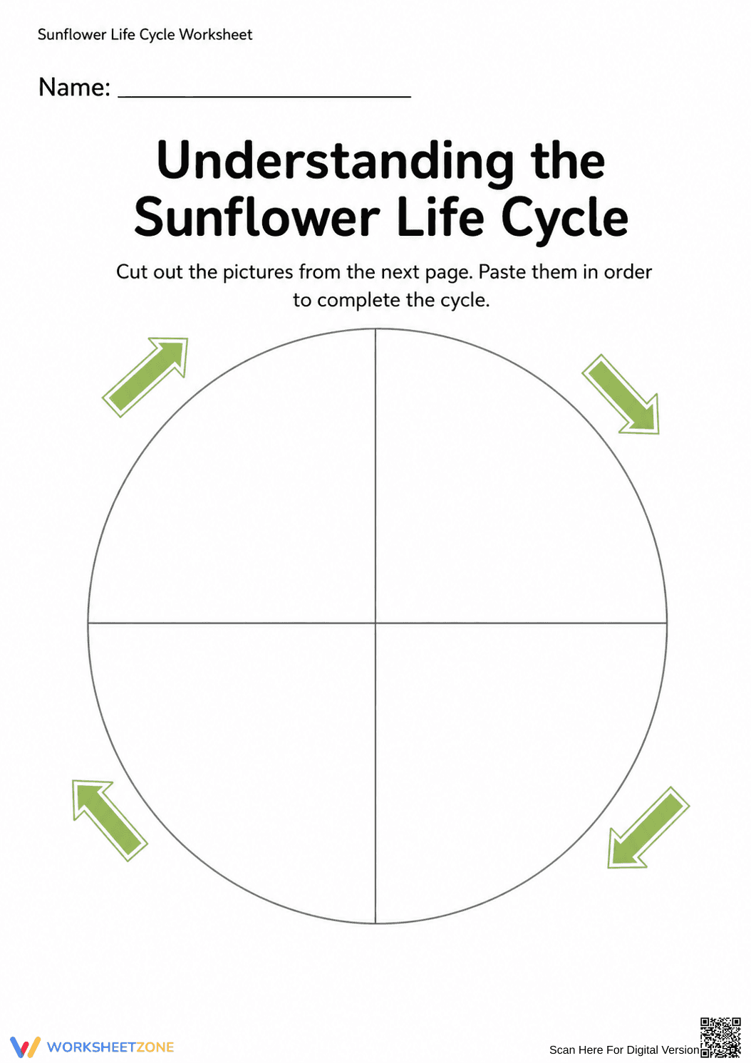 Printable Sunflower Life Cycle Worksheet | Grade K Science - Page 1