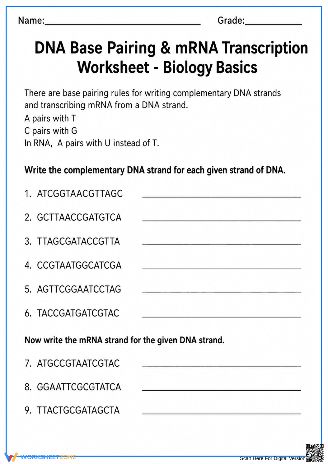 Grades 9-12 DNA Base Pairing — Printable No-Prep Worksheet - Page 1