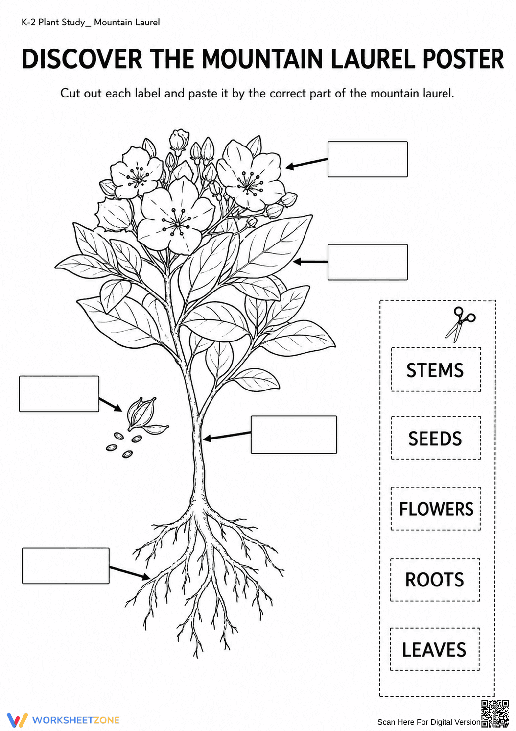 Printable Plant Parts Worksheet | Grade K Science - Page 1