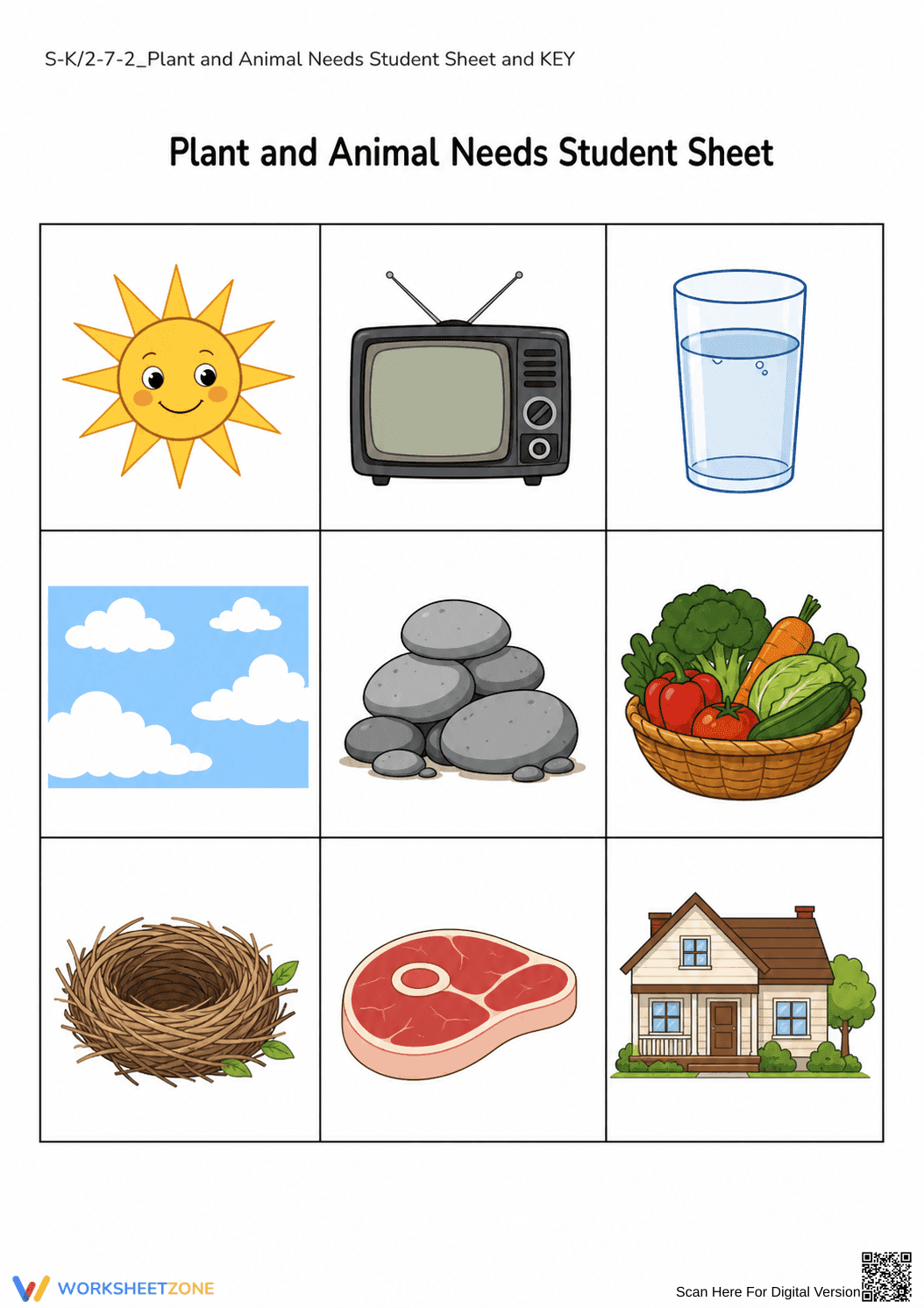 Basic Needs of Plants and Animals Printable | Grade K - Page 1