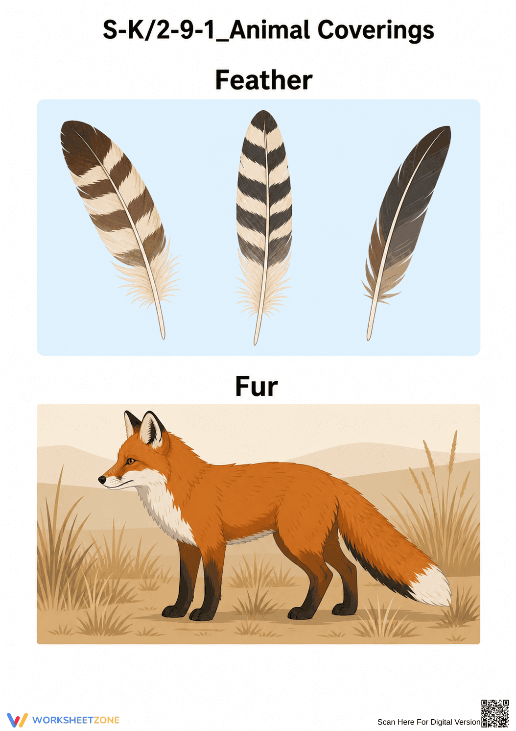 Animal Coverings Worksheet | Grade 1 Essential Science - Page 1