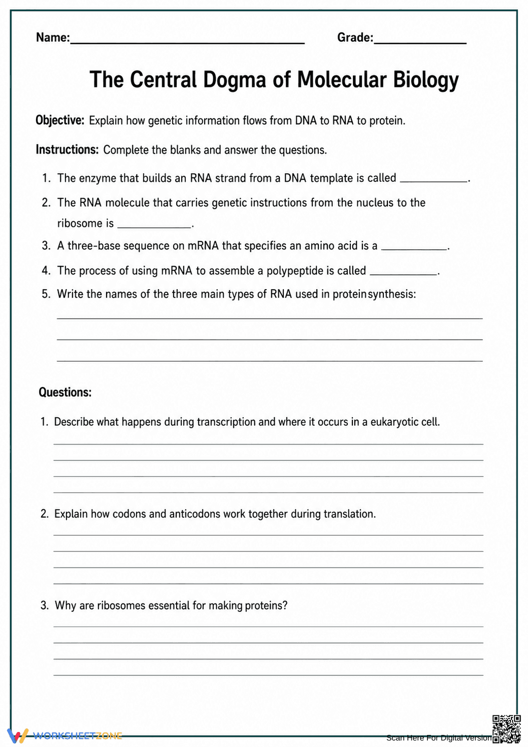 Essential Central Dogma Worksheet | Grade 9-12 Biology - Page 1
