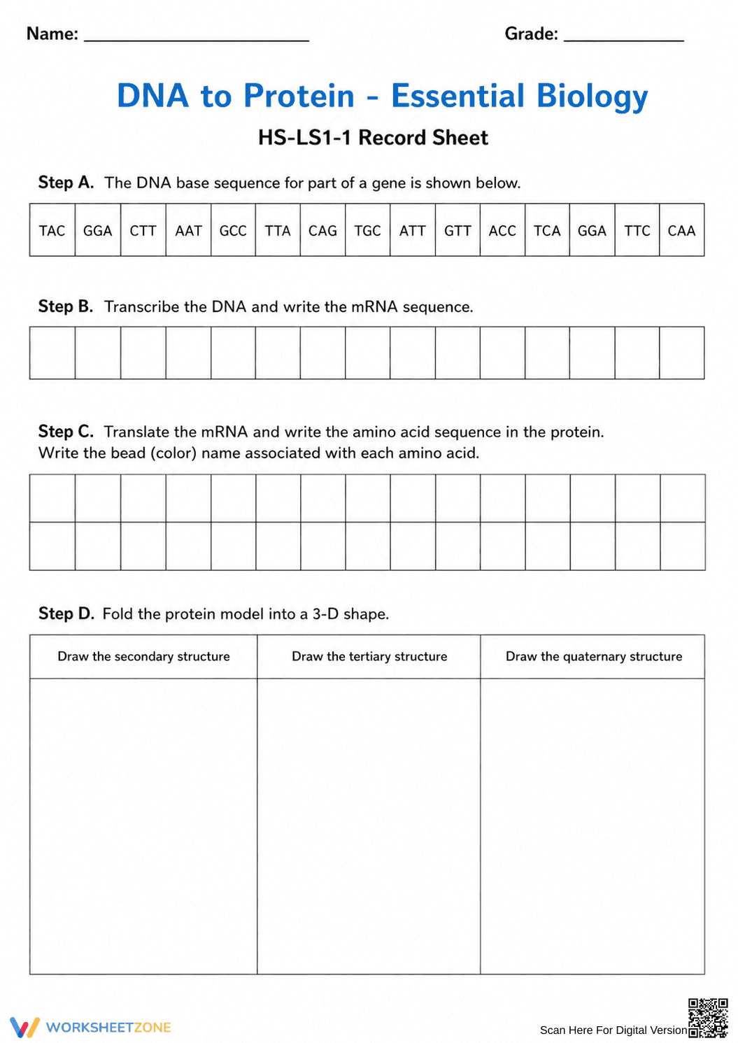 HS-LS1-1 Worksheet: DNA to Protein — Essential Biology - Page 1