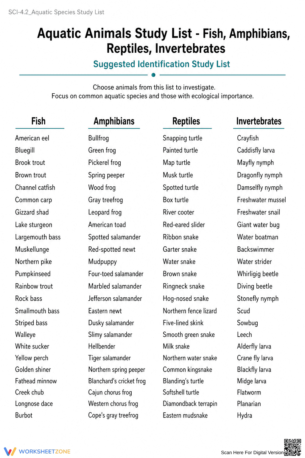 Aquatic Animals Study List | Grade 1 Essential Guide - Page 1