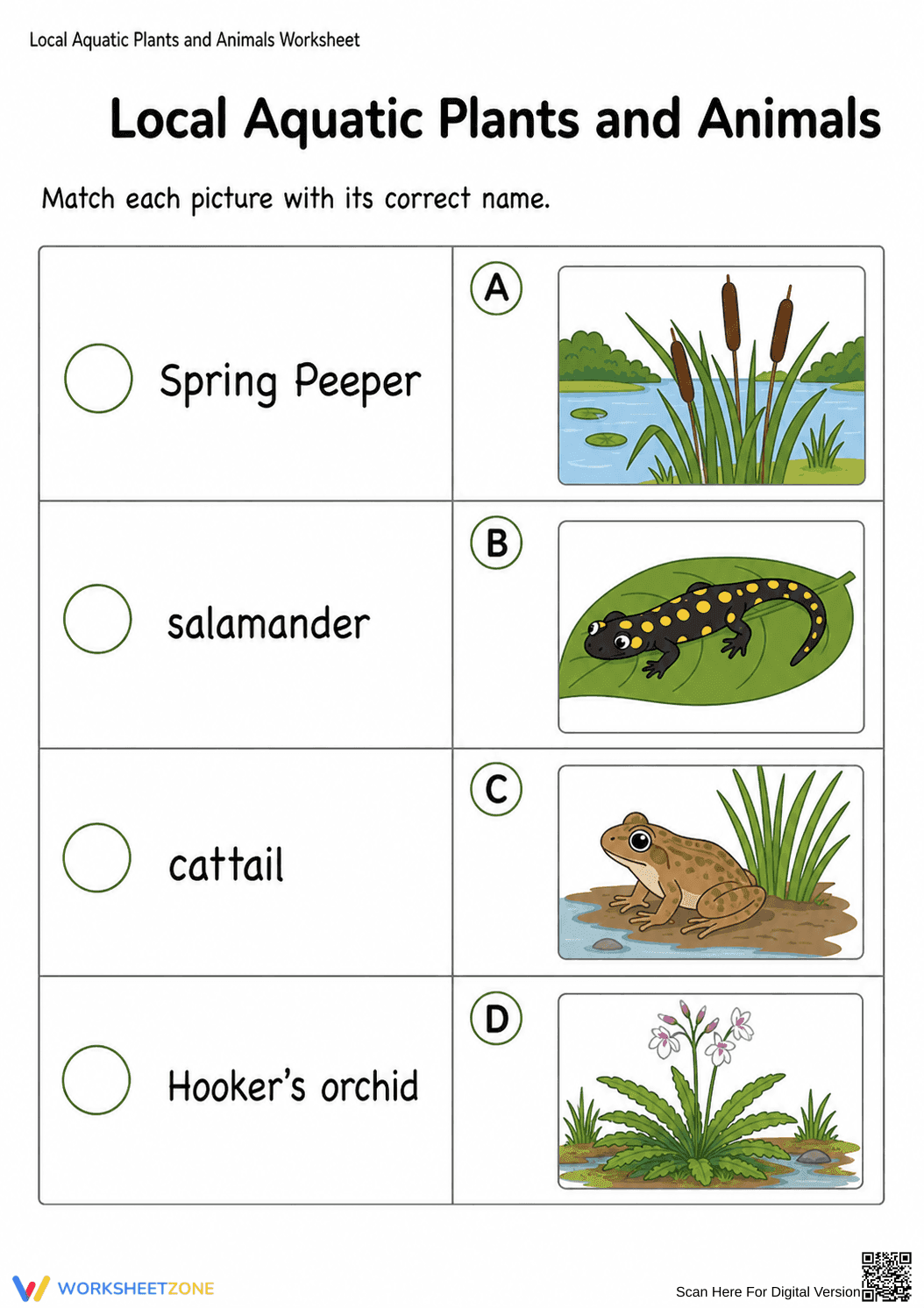 Grade 1 Aquatic Habitats — Printable No-Prep Worksheet - Page 1