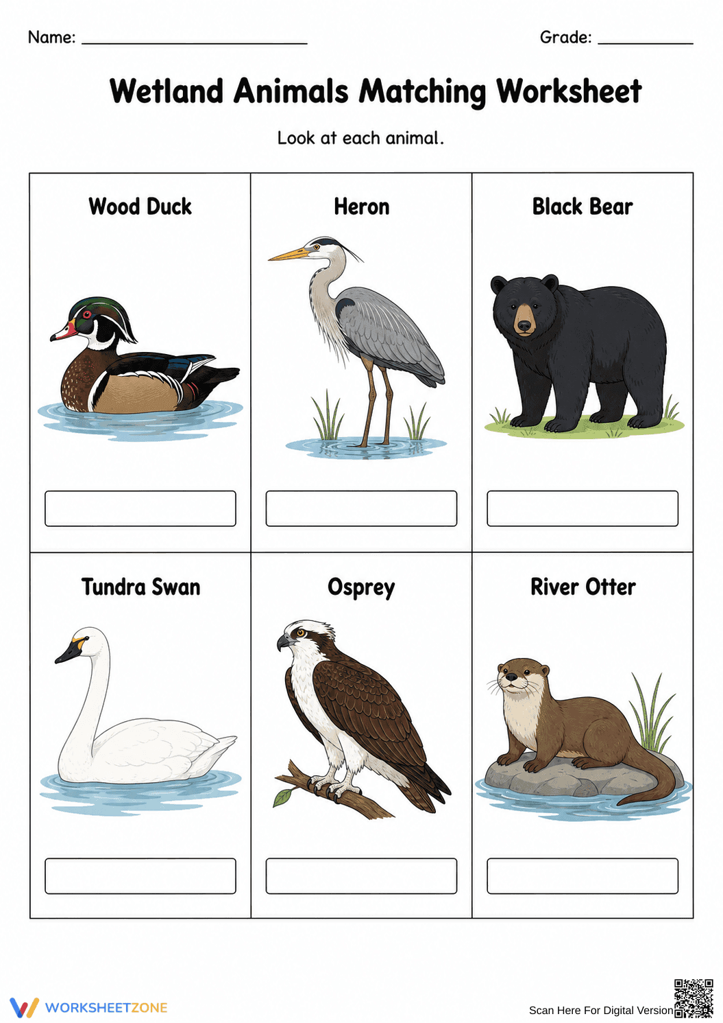 Wetland Animals Matching Worksheet | Grade 2 Essential - Page 1