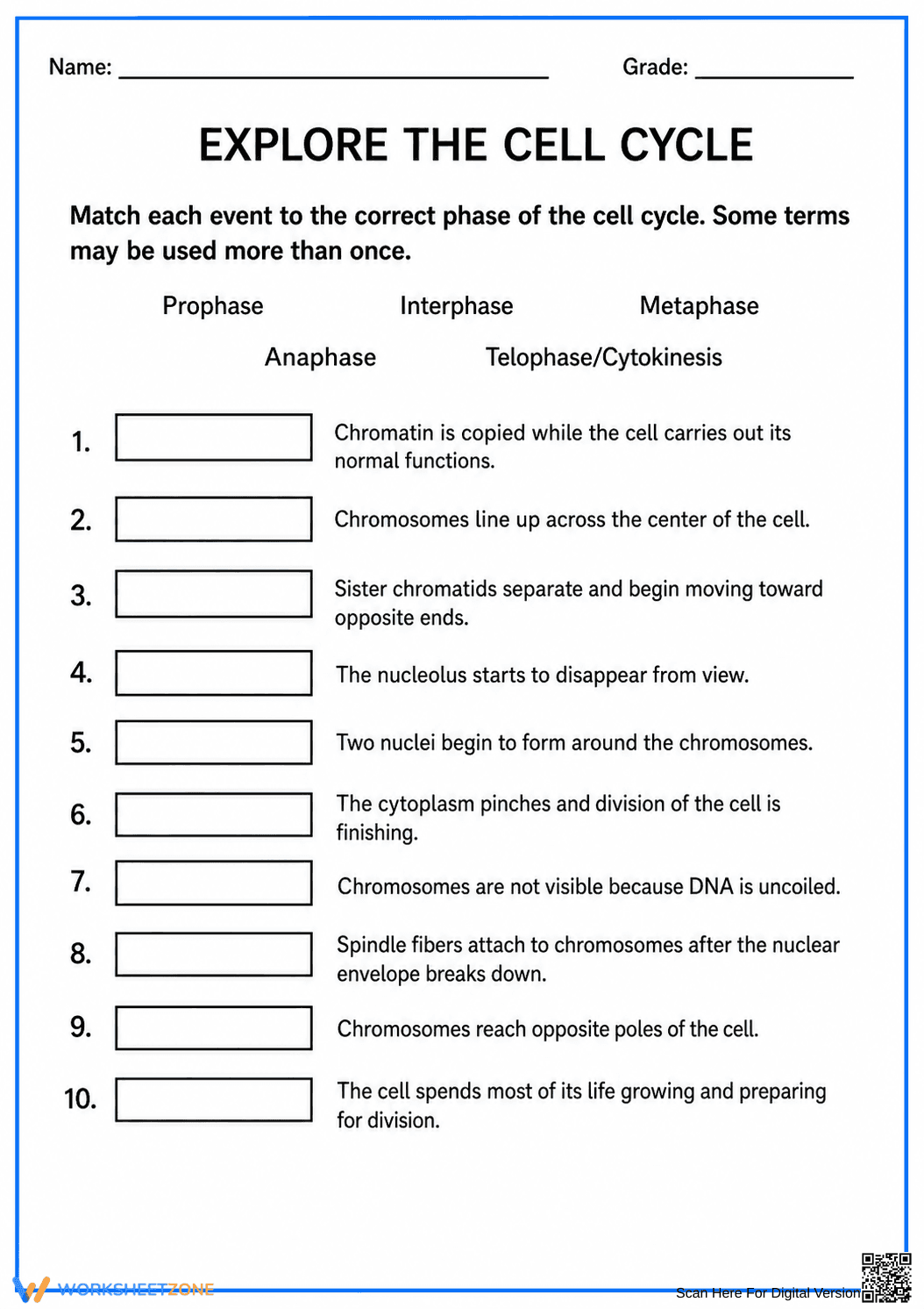 Essential Cell Cycle Worksheet | Grade 9-10 Biology - Page 1