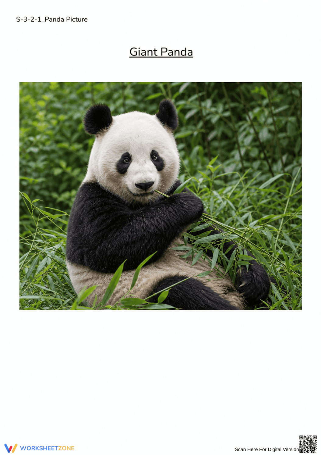 Grade 3 Giant Panda Habitat — Printable No-Prep Worksheet - Page 1