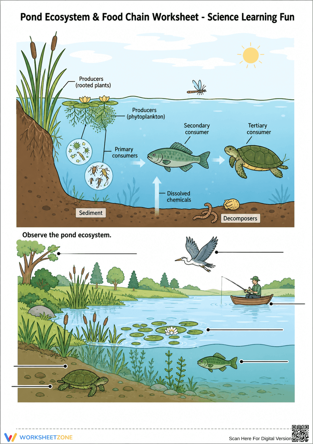 Grade 3 Pond Ecosystem — Printable No-Prep Worksheet - Page 1