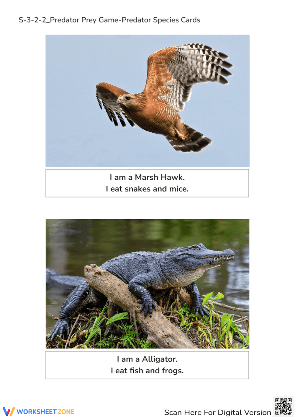 Predator & Prey Cards - Animal Diet Learning Game for Grades 1-3 - Page 1