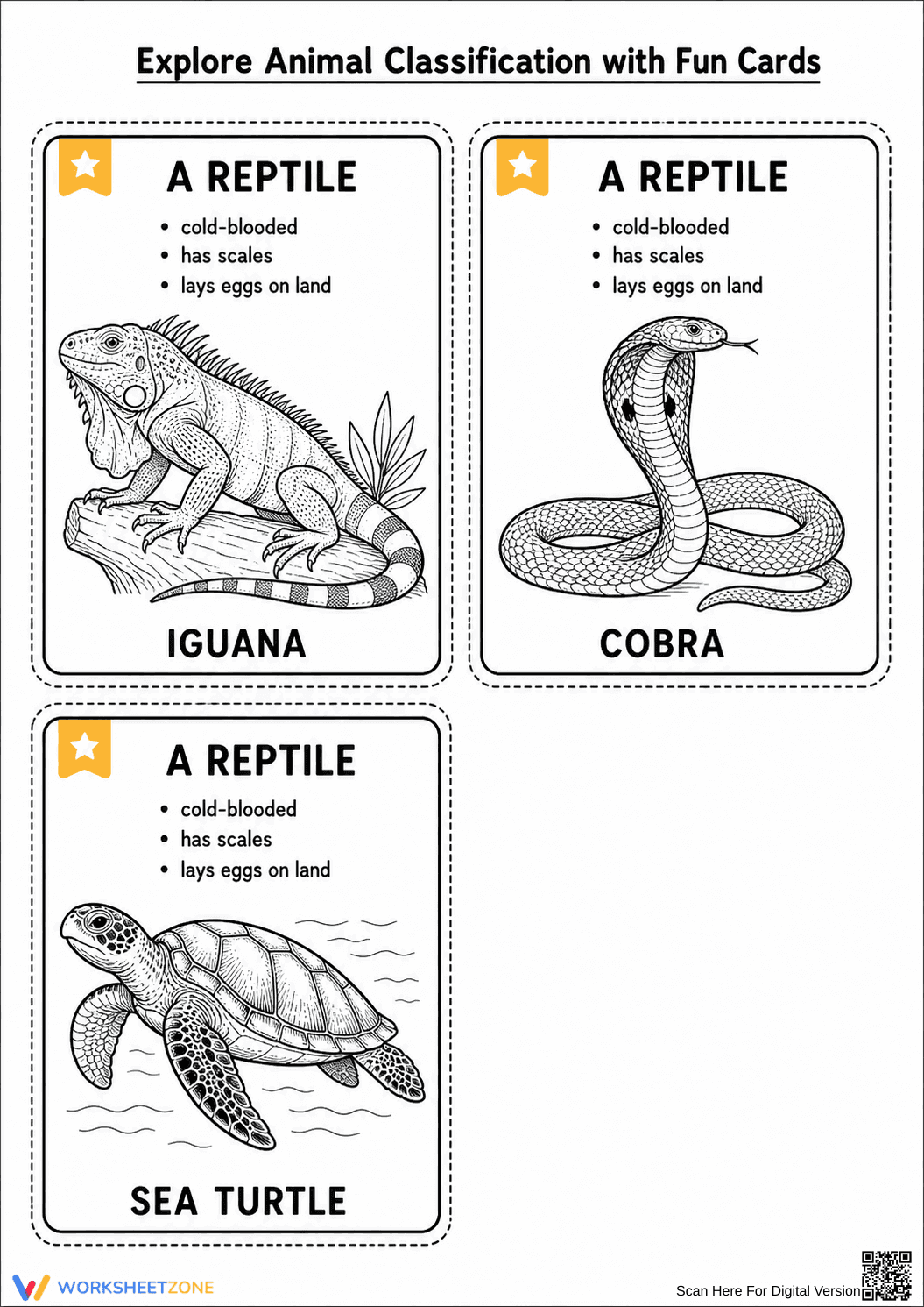 Animal Classification Cards | Grade 3 Essential Science - Page 1