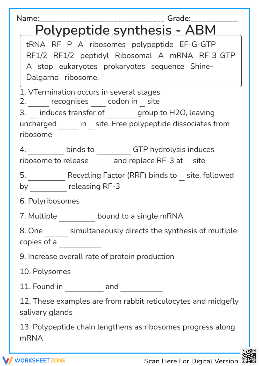 Polyribosomes/Termination Formation of E. coli - Page 1