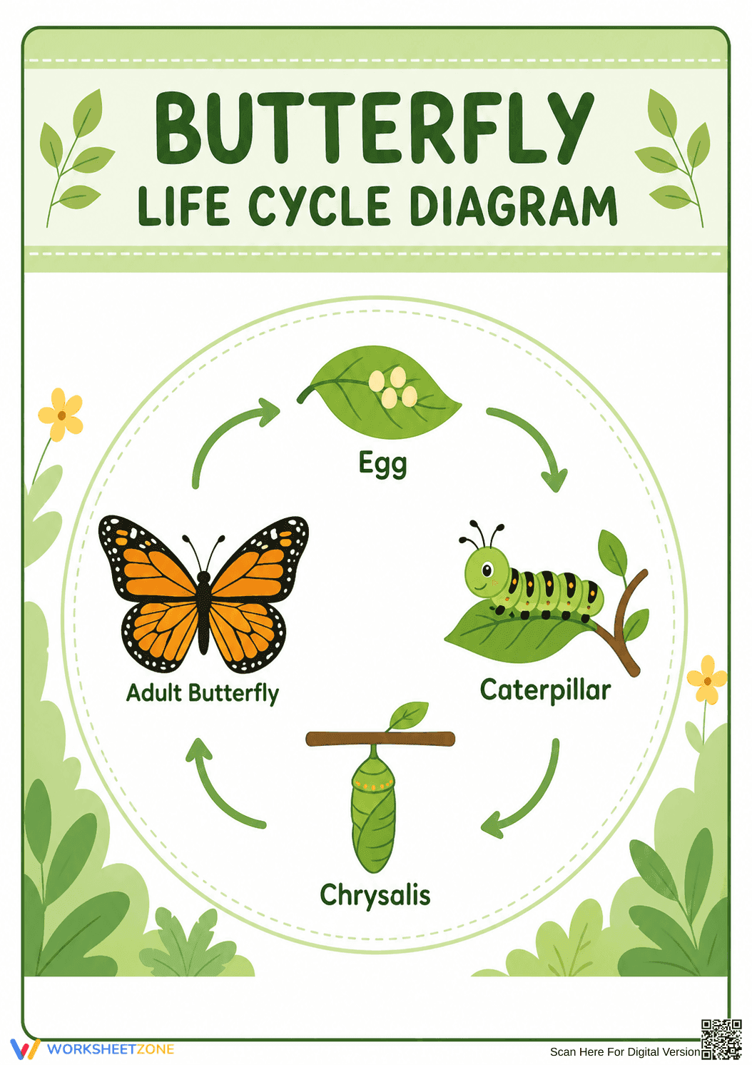 Grade 2 Butterfly Life Cycle — Printable No-Prep Worksheet - Page 1