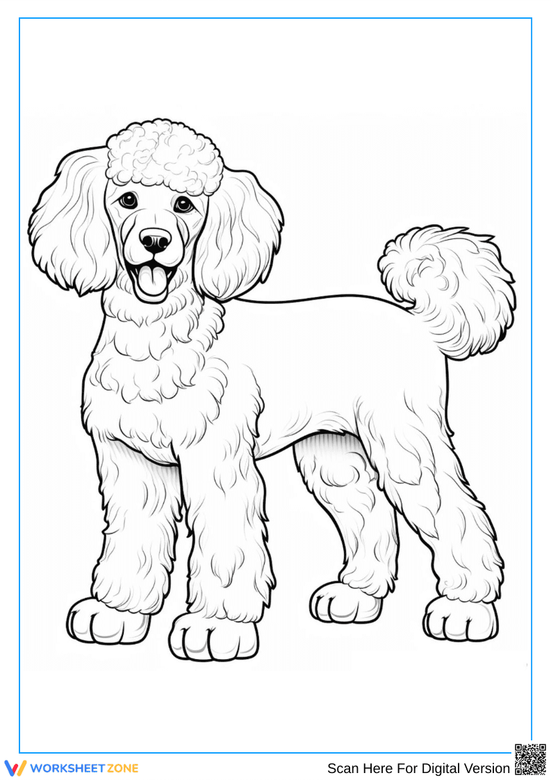 Elegant Poodle Dog Coloring Page - Page 1