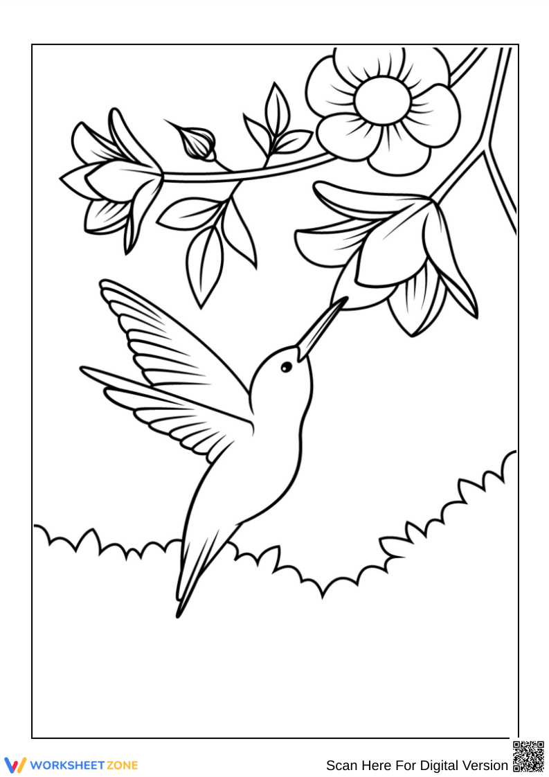 Hummingbird Drinking Nectar Coloring Page - Page 1