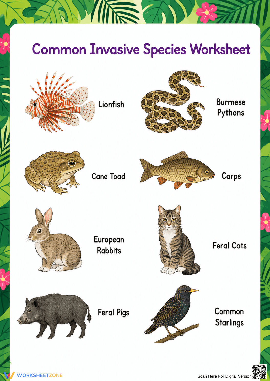 Grade 5-6 Invasive Species — Printable No-Prep Worksheet - Page 1