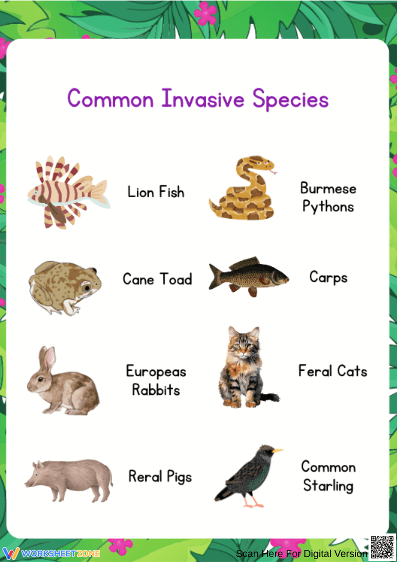Common Invasive Species Worksheet - Page 1