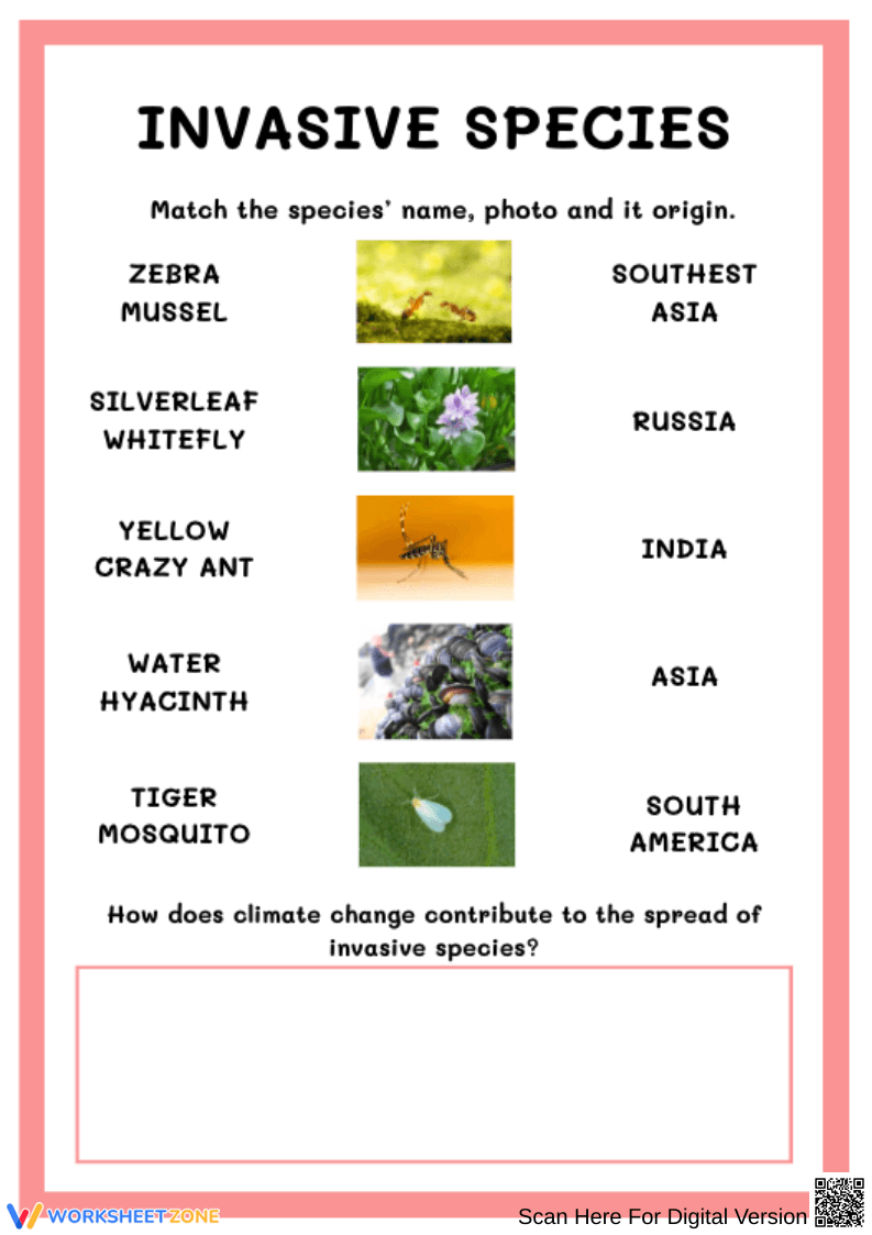 Invasive Species Matching Worksheet - Page 1