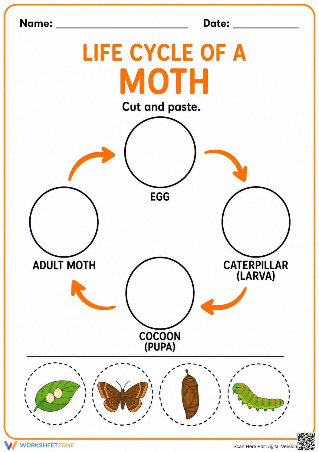 Moth Life Cycle Worksheet — Printable Grade 1-5 Science - Page 1