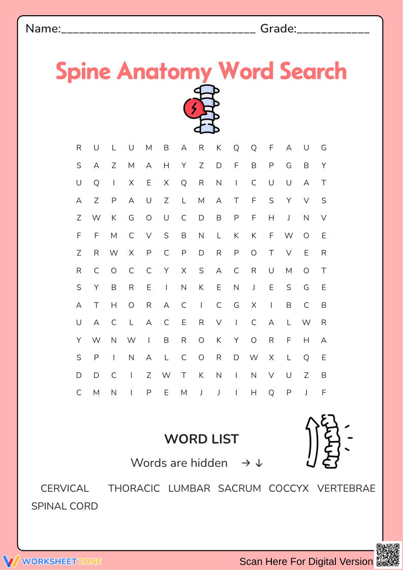 Spine Anatomy Word Search Worksheet - Page 1