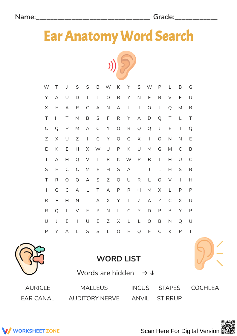 Ear Anatomy Word Search Puzzle - Page 1