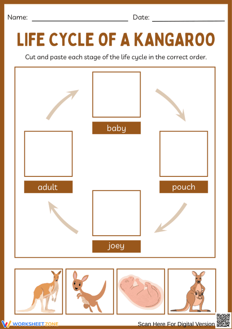 Kangaroo Life Cycle Cut and Paste Worksheet - Page 1