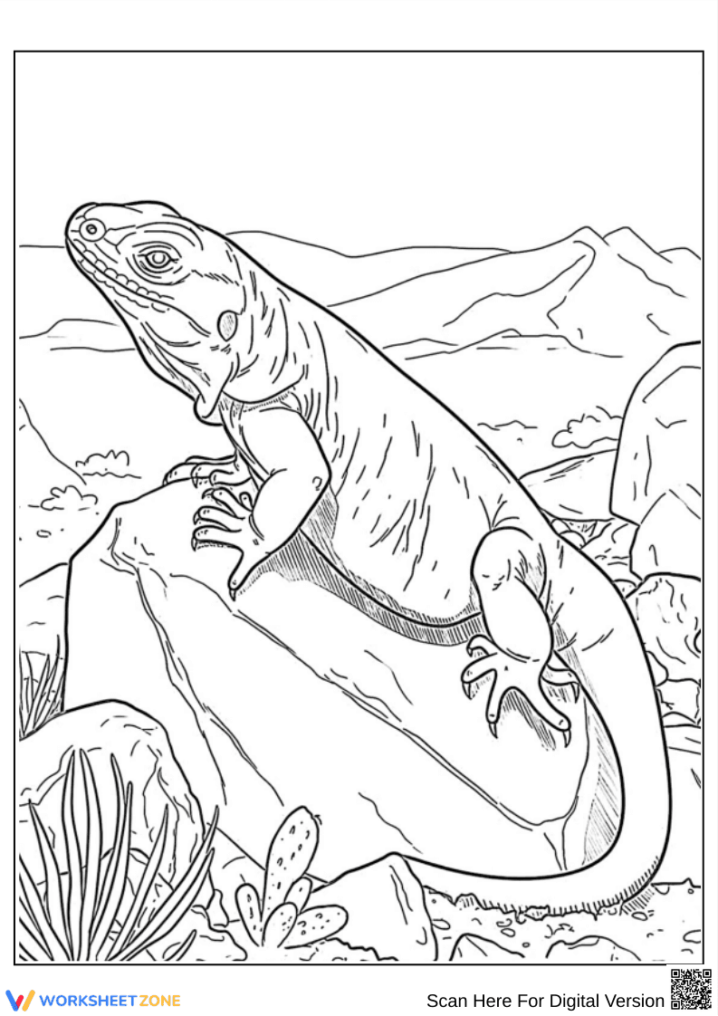 Desert Iguana Lizard on Rock Coloring Page - Page 1