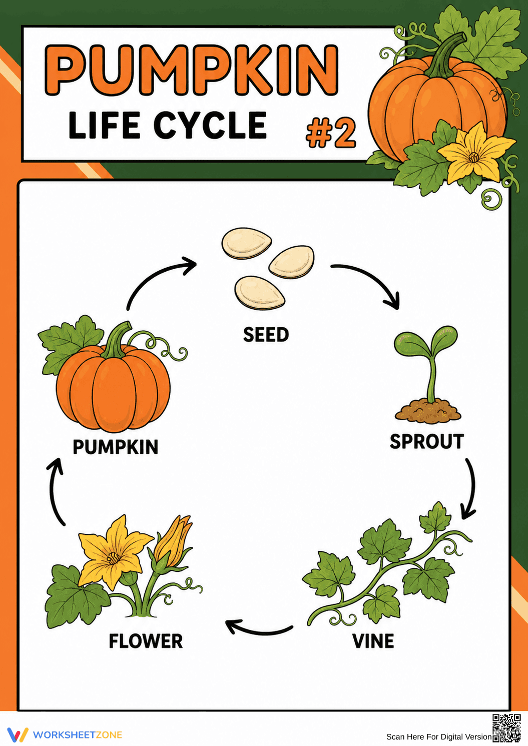 Printable Pumpkin Life Cycle Worksheet | K Science - Page 1