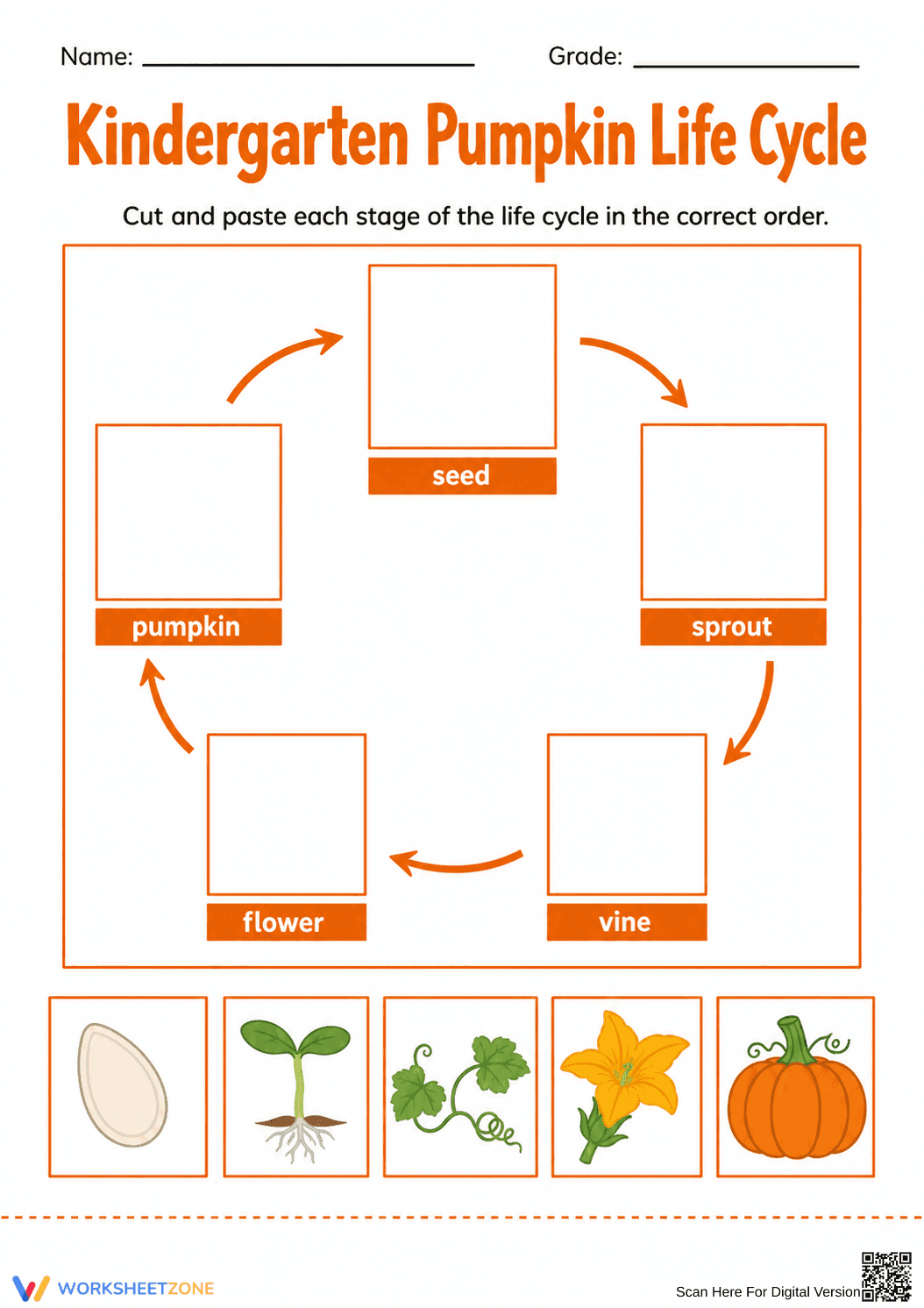 Grade K Pumpkin Life Cycle — Printable No-Prep Worksheet - Page 1
