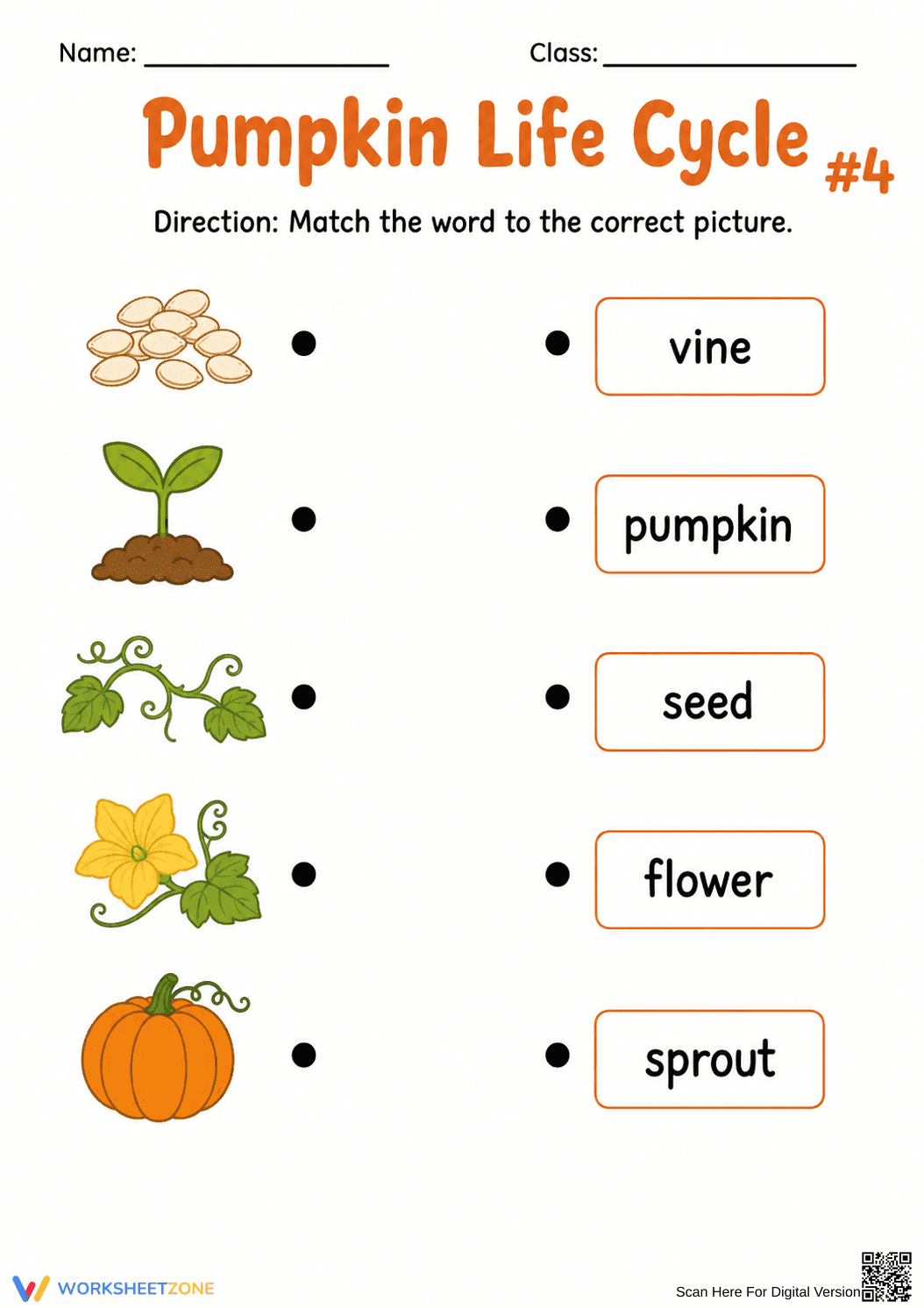 Grade K Pumpkin Life Cycle — Printable No-Prep Worksheet - Page 1