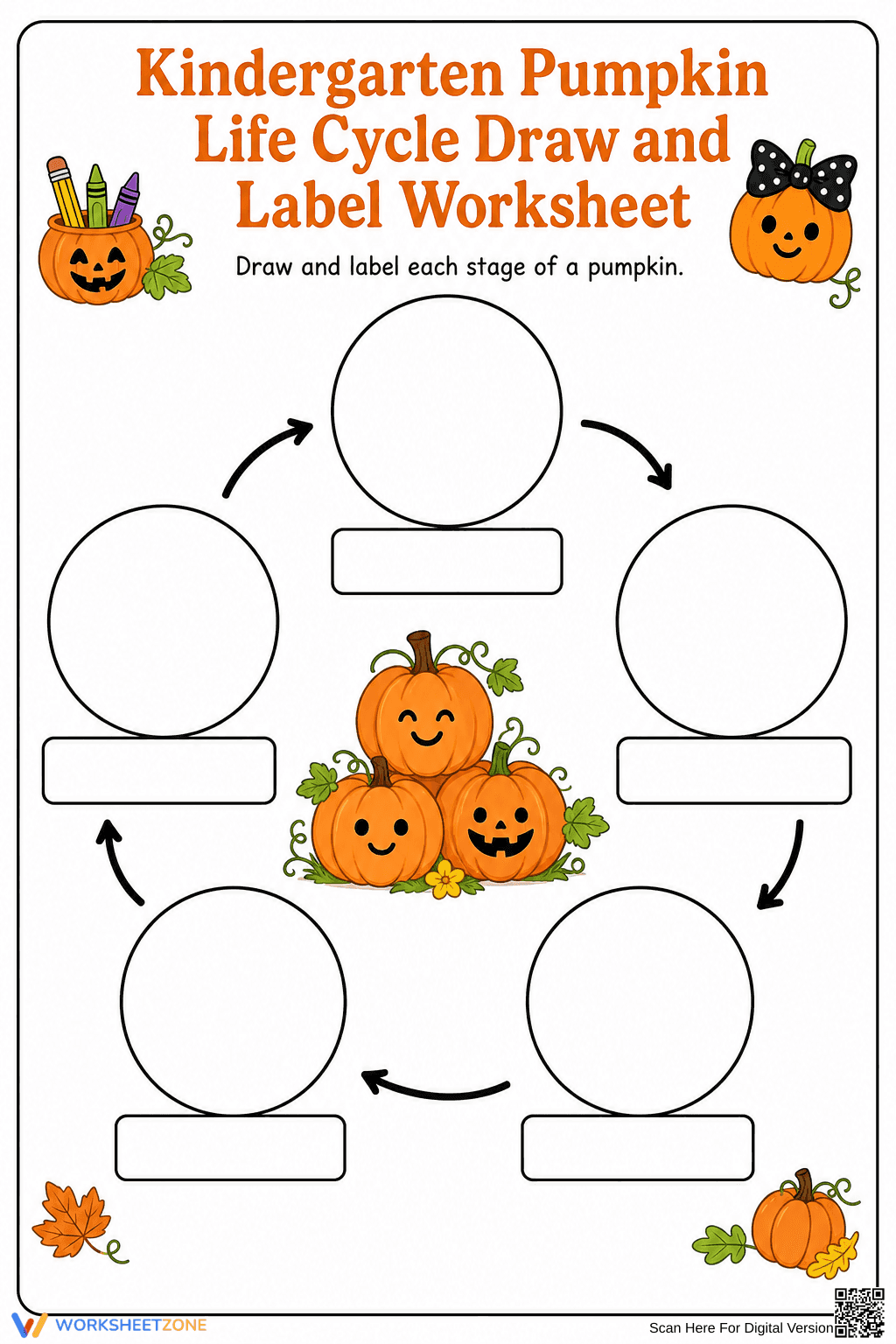 Kindergarten Pumpkin Life Cycle Printable Worksheet - Page 1